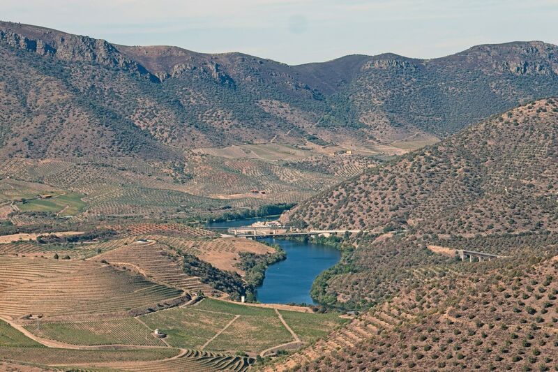 DC 22-0791-101.jpg :: Saga Douro River Cruise, Barca d'Alva, Sapinha:  Sapinha refers to the Miradouro Natural do Alto da Sapinha, a scenic viewpoint in Portugal offering views of the Douro River and its cliffs. It is a popular spot for its impressive, sweeping vistas, which are especially beautiful for birdwatching and visualizing the border between Portugal and Spain. The viewpoint is accessible by road, located near Figueira de Castelo Rodrigo, and is known for the breathtaking views it provides of the river valley. Photo taken 31/08/2022