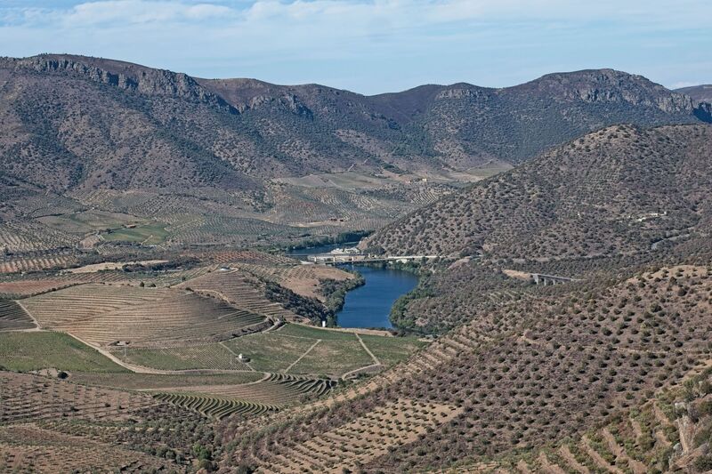 DC 22-0791-102.jpg :: Saga Douro River Cruise, Barca d'Alva, Sapinha:  Sapinha refers to the Miradouro Natural do Alto da Sapinha, a scenic viewpoint in Portugal offering views of the Douro River and its cliffs. It is a popular spot for its impressive, sweeping vistas, which are especially beautiful for birdwatching and visualizing the border between Portugal and Spain. The viewpoint is accessible by road, located near Figueira de Castelo Rodrigo, and is known for the breathtaking views it provides of the river valley. Photo taken 31/08/2022