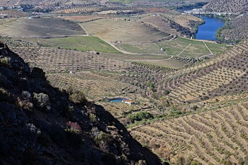 DC 22-0791-104.jpg :: Saga Douro River Cruise, Barca d'Alva, Sapinha:  Sapinha refers to the Miradouro Natural do Alto da Sapinha, a scenic viewpoint in Portugal offering views of the Douro River and its cliffs. It is a popular spot for its impressive, sweeping vistas, which are especially beautiful for birdwatching and visualizing the border between Portugal and Spain. The viewpoint is accessible by road, located near Figueira de Castelo Rodrigo, and is known for the breathtaking views it provides of the river valley. Photo taken 31/08/2022