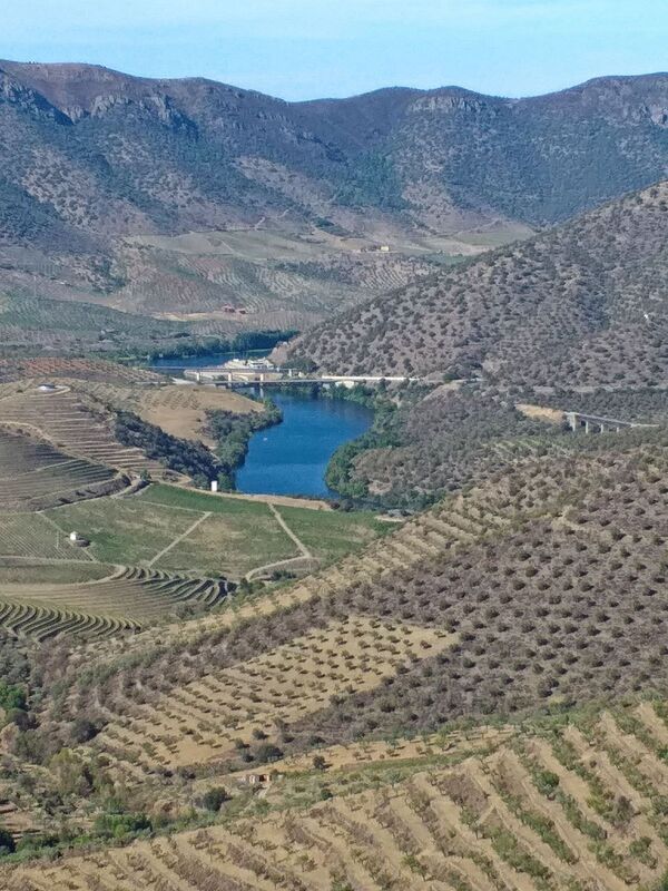 DC 22-0791-105.jpg :: Saga Douro River Cruise, Barca d'Alva, Sapinha:  Sapinha refers to the Miradouro Natural do Alto da Sapinha, a scenic viewpoint in Portugal offering views of the Douro River and its cliffs. It is a popular spot for its impressive, sweeping vistas, which are especially beautiful for birdwatching and visualizing the border between Portugal and Spain. The viewpoint is accessible by road, located near Figueira de Castelo Rodrigo, and is known for the breathtaking views it provides of the river valley. Photo taken 31/08/2022