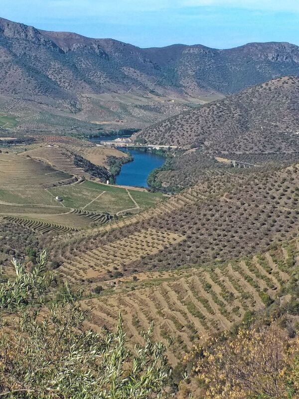 DC 22-0791-106.jpg :: Saga Douro River Cruise, Barca d'Alva, Sapinha:  Sapinha refers to the Miradouro Natural do Alto da Sapinha, a scenic viewpoint in Portugal offering views of the Douro River and its cliffs. It is a popular spot for its impressive, sweeping vistas, which are especially beautiful for birdwatching and visualizing the border between Portugal and Spain. The viewpoint is accessible by road, located near Figueira de Castelo Rodrigo, and is known for the breathtaking views it provides of the river valley. Photo taken 31/08/2022