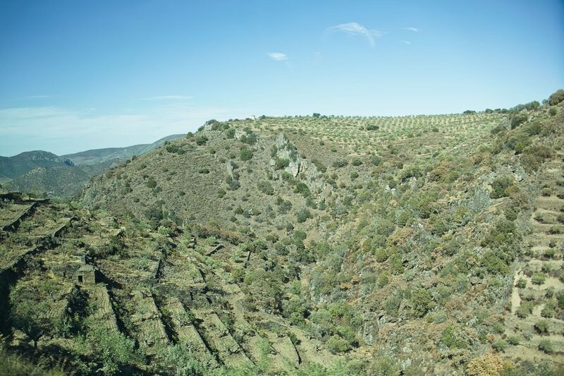 DC 22-0791-111.jpg :: Saga Douro River Cruise, Barca d'Alva,Sapinha:  Sapinha refers to the Miradouro Natural do Alto da Sapinha, a scenic viewpoint in Portugal offering views of the Douro River and its cliffs. It is a popular spot for its impressive, sweeping vistas, which are especially beautiful for birdwatching and visualizing the border between Portugal and Spain. The viewpoint is accessible by road, located near Figueira de Castelo Rodrigo, and is known for the breathtaking views it provides of the river valley. Photo taken 31/08/2022