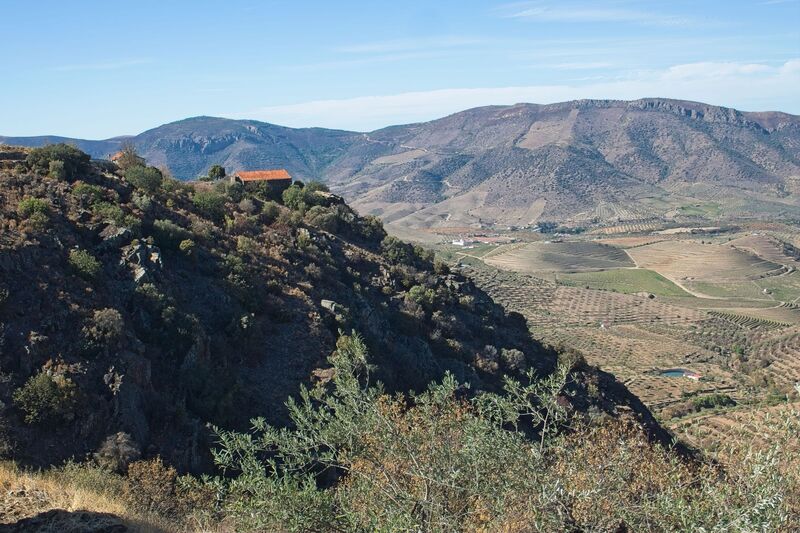 DC 22-0791-114.jpg :: Saga Douro River Cruise, Barca d'Alva,Sapinha:  Sapinha refers to the Miradouro Natural do Alto da Sapinha, a scenic viewpoint in Portugal offering views of the Douro River and its cliffs. It is a popular spot for its impressive, sweeping vistas, which are especially beautiful for birdwatching and visualizing the border between Portugal and Spain. The viewpoint is accessible by road, located near Figueira de Castelo Rodrigo, and is known for the breathtaking views it provides of the river valley. Photo taken 31/08/2022