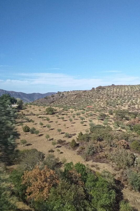 DC 22-0791-115.jpg :: Saga Douro River Cruise, Barca d'Alva,Sapinha:  Sapinha refers to the Miradouro Natural do Alto da Sapinha, a scenic viewpoint in Portugal offering views of the Douro River and its cliffs. It is a popular spot for its impressive, sweeping vistas, which are especially beautiful for birdwatching and visualizing the border between Portugal and Spain. The viewpoint is accessible by road, located near Figueira de Castelo Rodrigo, and is known for the breathtaking views it provides of the river valley. Photo taken 31/08/2022