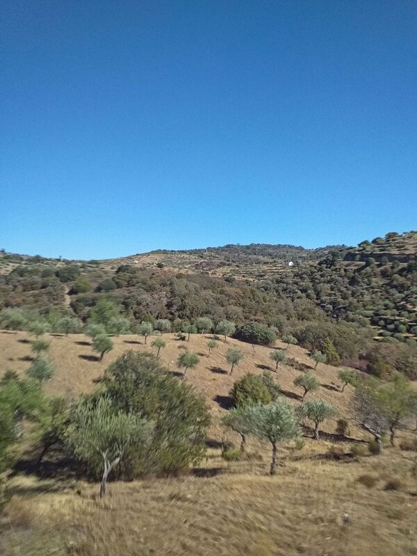 DC 22-0791-116.jpg :: Saga Douro River Cruise, Barca d'Alva,Sapinha:  Sapinha refers to the Miradouro Natural do Alto da Sapinha, a scenic viewpoint in Portugal offering views of the Douro River and its cliffs. It is a popular spot for its impressive, sweeping vistas, which are especially beautiful for birdwatching and visualizing the border between Portugal and Spain. The viewpoint is accessible by road, located near Figueira de Castelo Rodrigo, and is known for the breathtaking views it provides of the river valley. Photo taken 31/08/2022