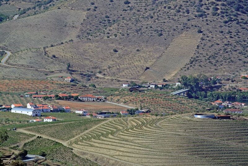 DC 22-0791-118.jpg :: Saga Douro River Cruise, Barca d'Alva,Sapinha:  Sapinha refers to the Miradouro Natural do Alto da Sapinha, a scenic viewpoint in Portugal offering views of the Douro River and its cliffs. It is a popular spot for its impressive, sweeping vistas, which are especially beautiful for birdwatching and visualizing the border between Portugal and Spain. The viewpoint is accessible by road, located near Figueira de Castelo Rodrigo, and is known for the breathtaking views it provides of the river valley. Photo taken 31/08/2022