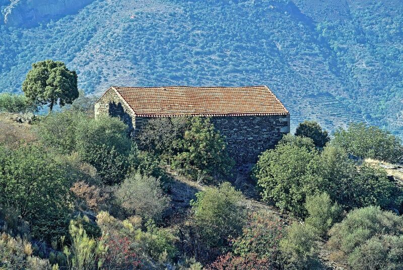 DC 22-0791-119.jpg :: Saga Douro River Cruise, Barca d'Alva,Sapinha:  Sapinha refers to the Miradouro Natural do Alto da Sapinha, a scenic viewpoint in Portugal offering views of the Douro River and its cliffs. It is a popular spot for its impressive, sweeping vistas, which are especially beautiful for birdwatching and visualizing the border between Portugal and Spain. The viewpoint is accessible by road, located near Figueira de Castelo Rodrigo, and is known for the breathtaking views it provides of the river valley. Photo taken 31/08/2022