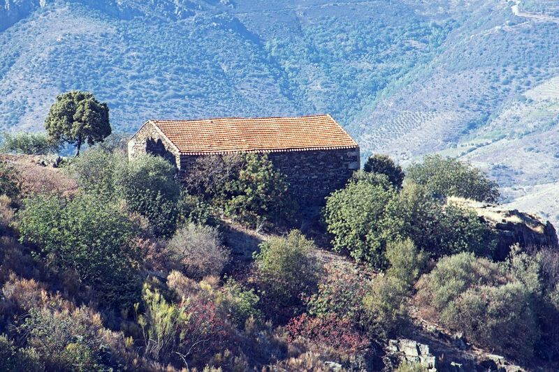 DC 22-0791-120.jpg :: Saga Douro River Cruise, Barca d'Alva,Sapinha:  Sapinha refers to the Miradouro Natural do Alto da Sapinha, a scenic viewpoint in Portugal offering views of the Douro River and its cliffs. It is a popular spot for its impressive, sweeping vistas, which are especially beautiful for birdwatching and visualizing the border between Portugal and Spain. The viewpoint is accessible by road, located near Figueira de Castelo Rodrigo, and is known for the breathtaking views it provides of the river valley. Photo taken 31/08/2022