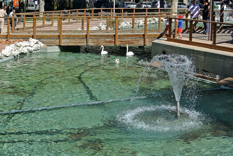 DC 22-0794-012b.jpg :: Saga Douro River Cruise, Salamanca. Spain: Lake in La Alamedilla Park, Salamanca. Photo taken 01/09/2022