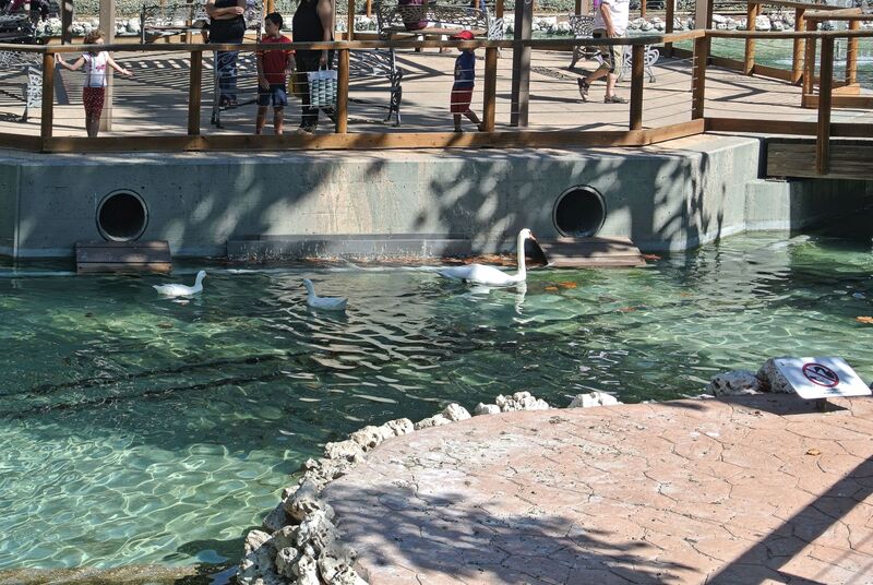 DC 22-0794-012c.jpg :: Saga Douro River Cruise, Salamanca. Spain: Lake in La Alamedilla Park, Salamanca. Photo taken 01/09/2022