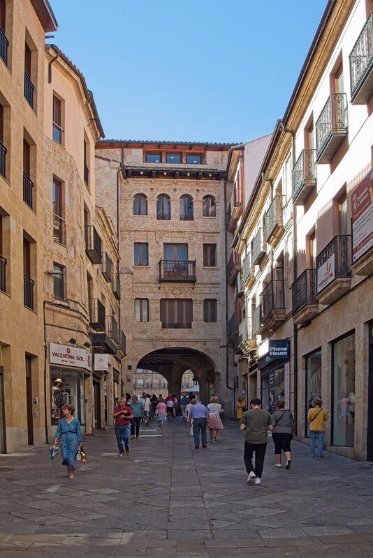 DC 22-0794-112.jpg :: Saga Douro River Cruise, Salamanca. Spain: Calle Toro is a main pedestrian and shopping street in the old centre of Salamanca, leading directly to the Plaza Mayor, through the arch. The street is known for its historical buildings and its status as the commercial heart of the city. Photo taken 01/09/2022
