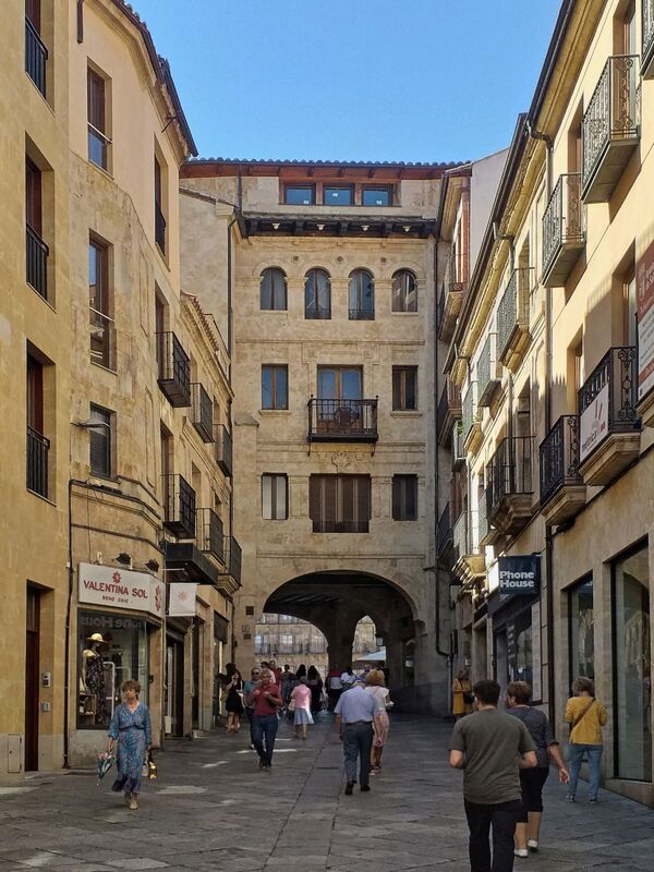DC 22-0794-113.jpg :: Saga Douro River Cruise, Salamanca. Spain: Calle Toro is a main pedestrian and shopping street in the old centre of Salamanca, leading directly to the Plaza Mayor, through the arch. The street is known for its historical buildings and its status as the commercial heart of the city. Photo taken 01/09/2022