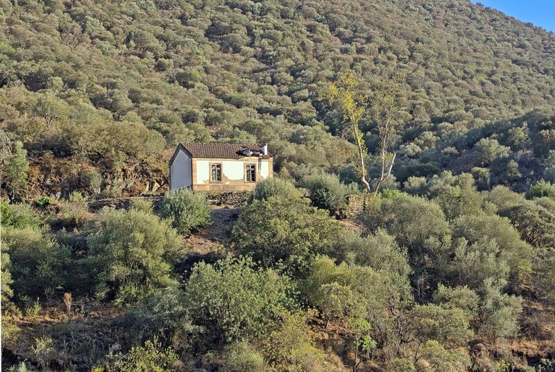DC 22-0796-010.jpg :: Saga Douro River Cruise, Barca d'Alva to Pocinho, Portugal: Abandoned house in Escalhão. Photo taken 01/09/2022