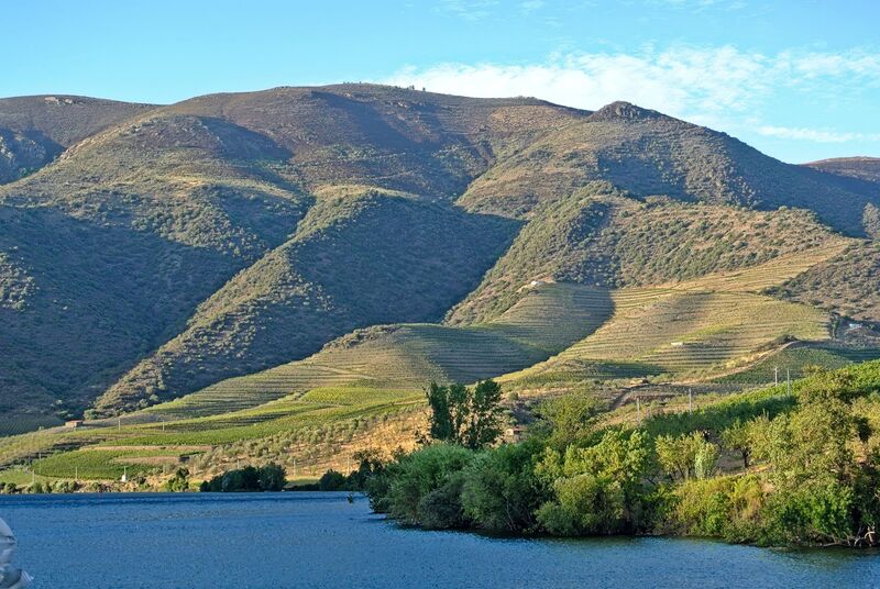 DC 22-0796-022.jpg :: Saga Douro River Cruise, Barca d'Alva to Pocinho, Portugal: View from the MS Douro Spirit, sailing by Escalhão. Photo taken 01/09/2022