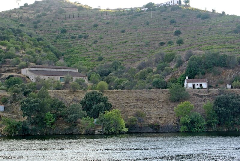 DC 22-0796-023.jpg :: Saga Douro River Cruise, Barca d'Alva to Pocinho, Portugal: View from the MS Douro Spirit, sailing by Escalhão. Photo taken 01/09/2022