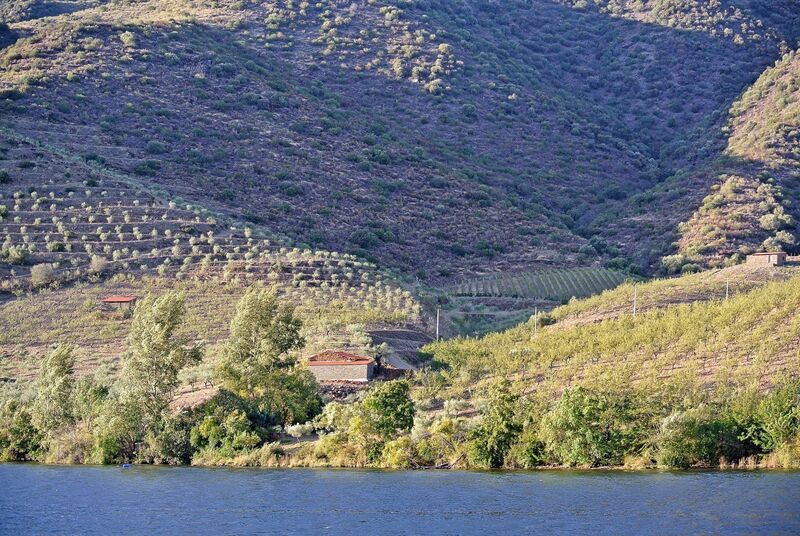 DC 22-0796-024.jpg :: Saga Douro River Cruise, Barca d'Alva to Pocinho, Portugal: View from the MS Douro Spirit, sailing down the Rriver Douro. Photo taken 01/09/2022