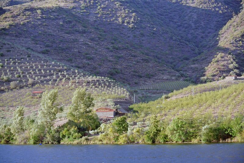 DC 22-0796-025.jpg :: Saga Douro River Cruise, Barca d'Alva to Pocinho, Portugal: View from the MS Douro Spirit, sailing down the Rriver Douro. Photo taken 01/09/2022