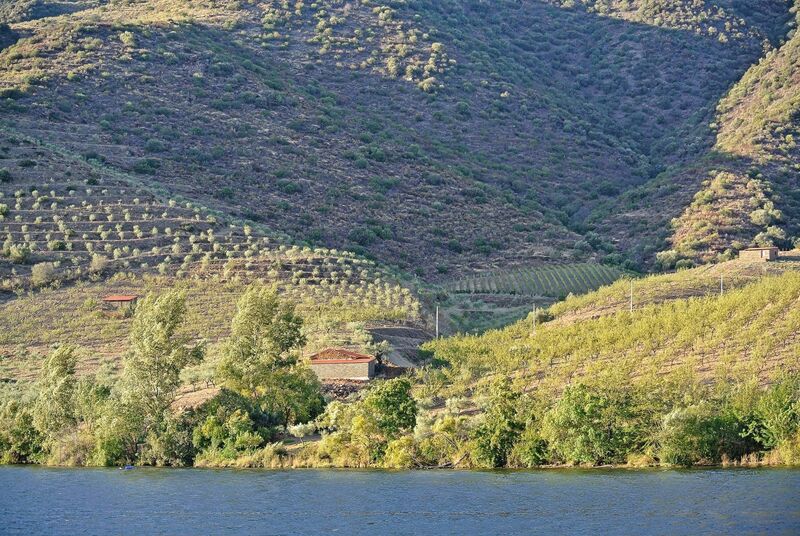 DC 22-0796-026.jpg :: Saga Douro River Cruise, Barca d'Alva to Pocinho, Portugal: View from the MS Douro Spirit, sailing down the Rriver Douro. Photo taken 01/09/2022