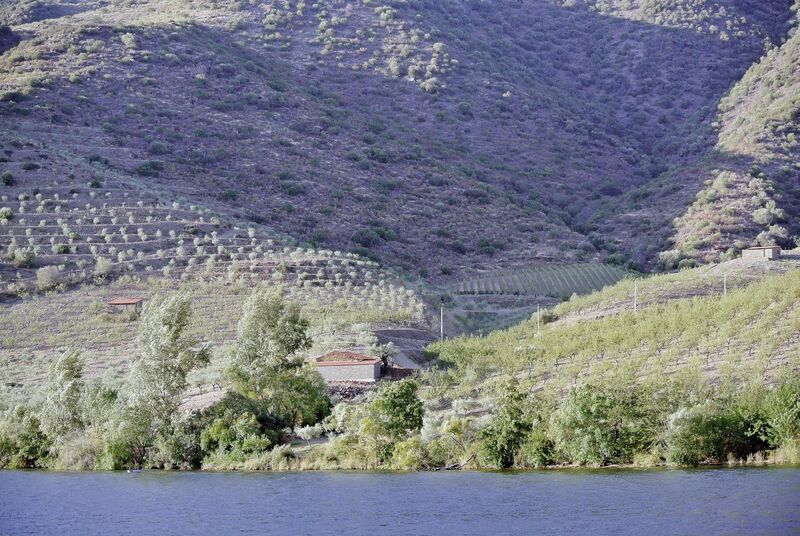 DC 22-0796-027.jpg :: Saga Douro River Cruise, Barca d'Alva to Pocinho, Portugal: View from the MS Douro Spirit, sailing down the Rriver Douro. Photo taken 01/09/2022