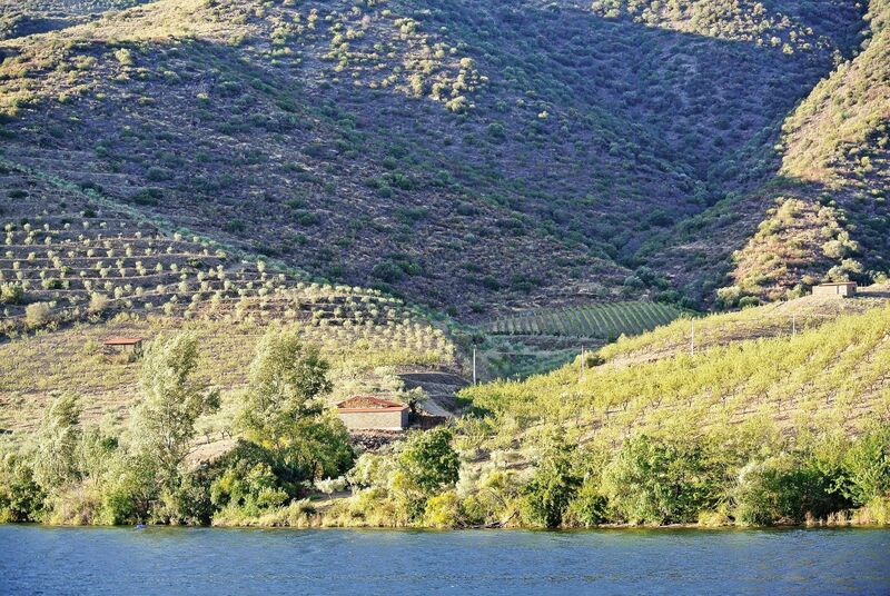 DC 22-0796-028.jpg :: Saga Douro River Cruise, Barca d'Alva to Pocinho, Portugal: View from the MS Douro Spirit, sailing down the Rriver Douro. Photo taken 01/09/2022