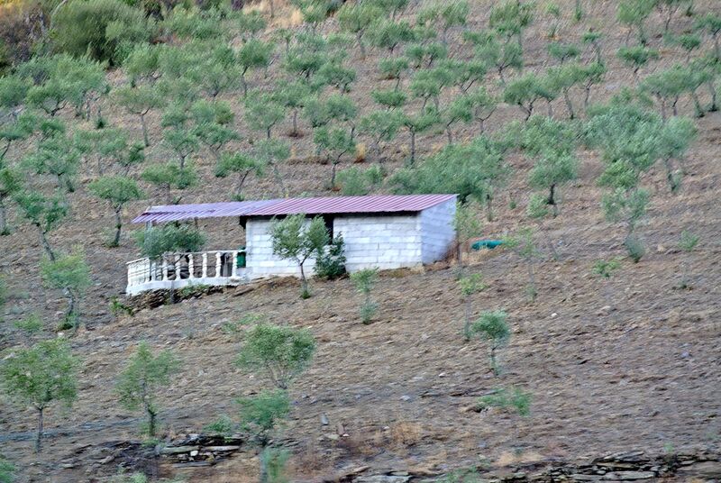 DC 22-0796-034.jpg :: Saga Douro River Cruise, Barca d'Alva to Pocinho, Portugal: View from the MS Douro Spirit, sailing down the Rriver Douro in the Urros region. Photo taken 01/09/2022