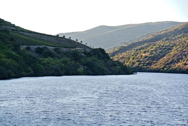 DC 22-0796-036.jpg :: Saga Douro River Cruise, Barca d'Alva to Pocinho, Portugal: View from the MS Douro Spirit, sailing down the Rriver Douro in the Urros region. Photo taken 01/09/2022