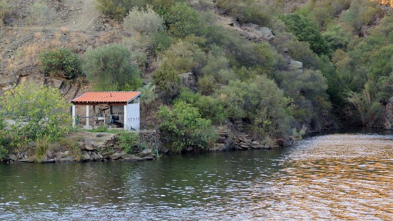 DC 22-0796-038.jpg :: Saga Douro River Cruise, Barca d'Alva to Pocinho, Portugal: View from the MS Douro Spirit, sailing down the River Douro in the Urros region. Photo taken 01/09/2022