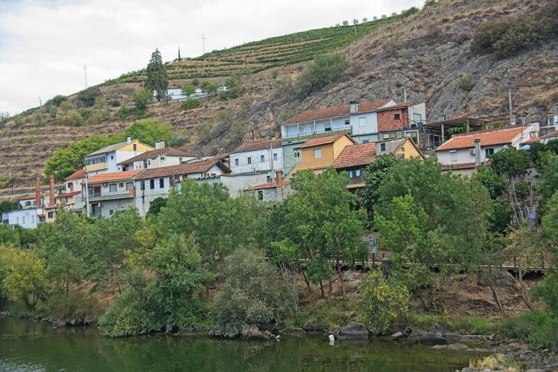 DC 22-0797-002.jpg :: Saga Douro River Cruise, Pocinho to Pinhao, River Douro: The MS Douro Spirit sailing passing Foz do Tua in the Castanheiro Region, along the Douro River, onward to Pinhao. Photo taken 02/09/2022
