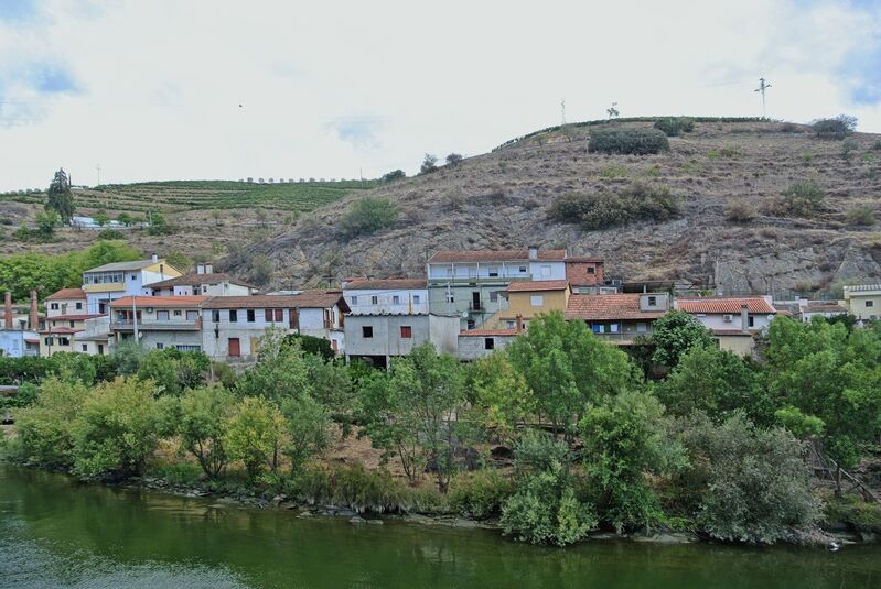 DC 22-0797-005.jpg :: Saga Douro River Cruise, Pocinho to Pinhao, River Douro: The MS Douro Spirit sailing passing Foz do Tua in the Castanheiro Region, along the Douro River, onward to Pinhao. Photo taken 02/09/2022