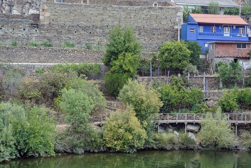 DC 22-0797-011.jpg :: Saga Douro River Cruise, Pocinho to Pinhao, River Douro: The MS Douro Spirit sailing passing Foz do Tua in the Castanheiro Region, along the Douro River, onward to Pinhao. Photo taken 02/09/2022