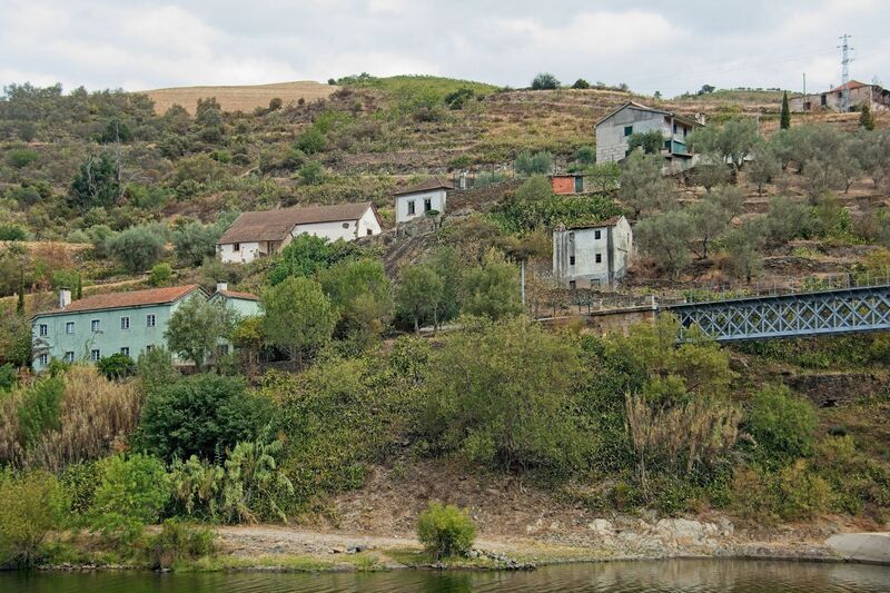DC 22-0797-020.jpg :: Saga Douro River Cruise, Pocinho to Pinhao, River Douro: The Carrazeda de Ansiães railway bridge (also known as the Foz-Tua bridge) crossing the Douro River in Northern Portugal, a region known for its terraced vineyards. This striking iron truss bridge is located near the confluence of the Tua and Douro rivers in the municipality of Carrazeda de Ansiães. The bridge is situated in the heart of the Alto Douro region, which is a UNESCO World Heritage site known for its Port wine production. It is a railway bridge, part of the historical Douro railway line. The original structure was built in the late 19th or early 20th century, but a new bridge was constructed in 1980, featuring a mix of reinforced concrete for the access structures and a central metal truss. Photo taken 02/09/2022