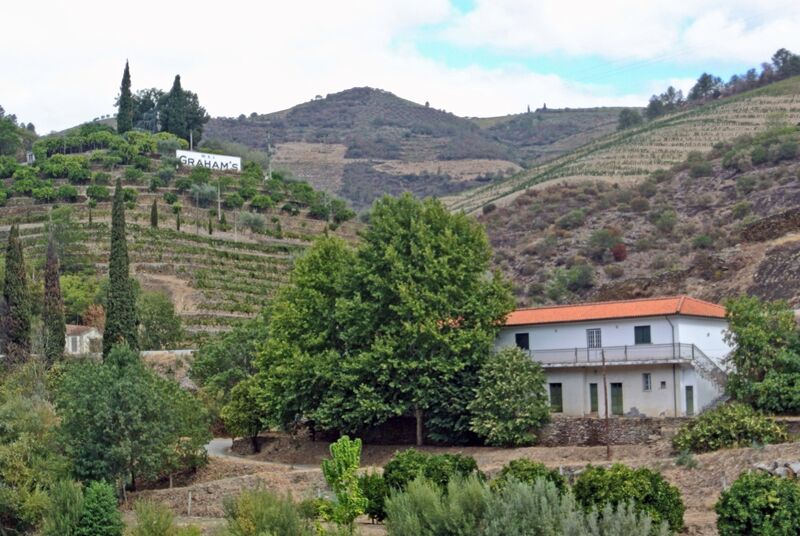 DC 22-0797-025.jpg :: Saga Douro River Cruise, Pocinho to Pinhao, River Douro: MS Douro Spirit passing the area of Castedo e Cotas on the River Douro. Photo taken 02/09/2022