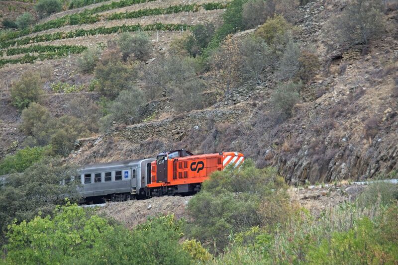 DC 22-0797-028.jpg :: Saga Douro River Cruise, Pocinho to Pinhao, River Douro: MS Douro Spirit passing the area of Castedo e Cotas on the River Douro. The locomotive in the image is a CP Class 1400, a series of diesel-electric locomotives built for the Portuguese Railways (CP). The train is operated by CP (Comboios de Portugal), the state-owned Portuguese railway company, as indicated by the logo on its side. The locomotives were designed by English Electric and built between 1967 and 1969. The first ten were built in England, while the rest were assembled in Portugal by Sorefame. The Class 1400 is mechanically based on the British Rail Class 20 locomotive but uses a more powerful engine and has its cab positioned away from the extreme end. These locomotives were originally ordered to replace the remaining steam locomotives in service. Many remain in service today, some with private operators. They are often seen on lines like the Douro Valley line. Photo taken 02/09/2022