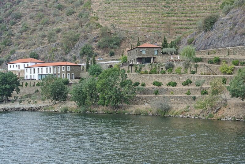 DC 22-0797-032.jpg :: Saga Douro River Cruise, Pocinho to Pinhao, River Douro: MS Douro Spirit passing the area of Praia de Douro on the River Douro. Photo taken 02/09/2022