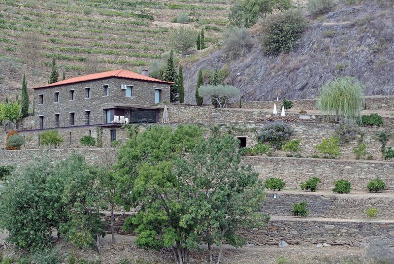 DC 22-0797-033.jpg :: Saga Douro River Cruise, Pocinho to Pinhao, River Douro: MS Douro Spirit passing the area of Alijó on the River Douro. Photo taken 02/09/2022