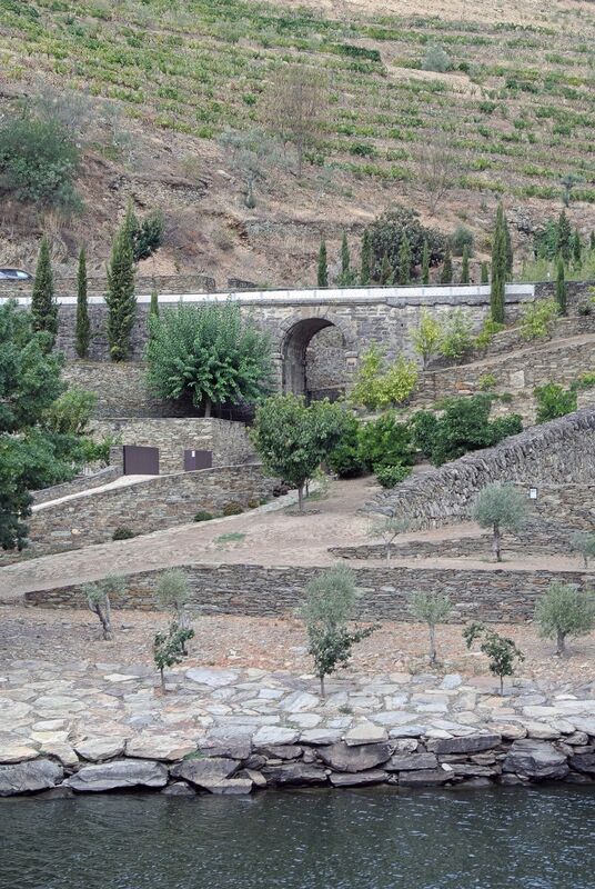 DC 22-0797-034.jpg :: Saga Douro River Cruise, Pocinho to Pinhao, River Douro: MS Douro Spirit passing the area of Alijó on the River Douro. Photo taken 02/09/2022