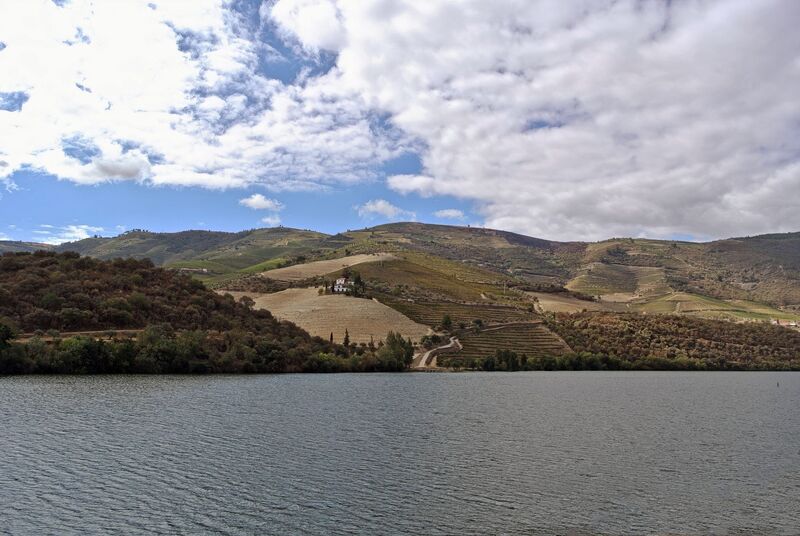 DC 22-0797-037.jpg :: Saga Douro River Cruise, Pocinho to Pinhao, River Douro: MS Douro Spirit passing the area of Praia de Douro on the River Douro. Photo taken 02/09/2022