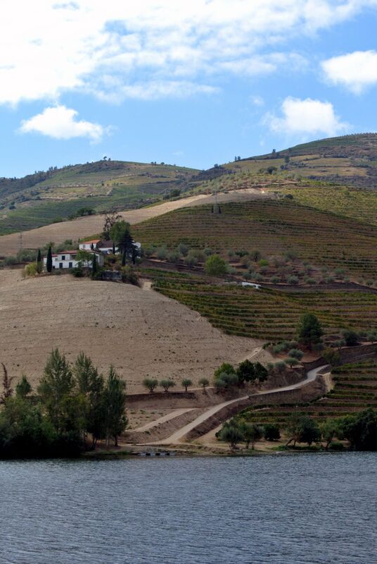 DC 22-0797-038.jpg :: Saga Douro River Cruise, Pocinho to Pinhao, River Douro: MS Douro Spirit passing the area of Praia de Douro on the River Douro. Photo taken 02/09/2022