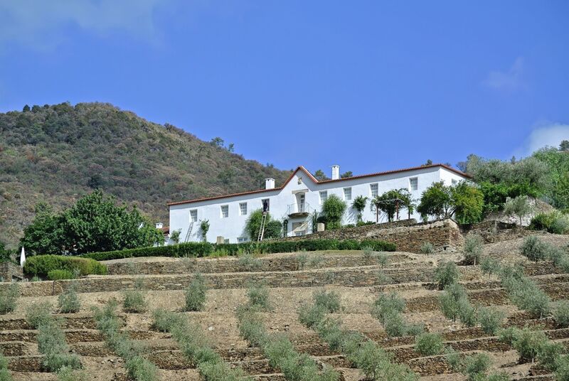 DC 22-0797-044.jpg :: Saga Douro River Cruise, Pocinho to Pinhao, River Douro: MS Douro Spirit passing the area of Covas do Douro, Sabrosa, on the River Douro.The Quinta Nova Winery House, a historic wine hotel in the Douro Valley, Portugal. It is housed in a renovated 18th-century manor house and was the first hotel in the Douro region to offer wine tourism facilities. Photo taken 02/09/2022