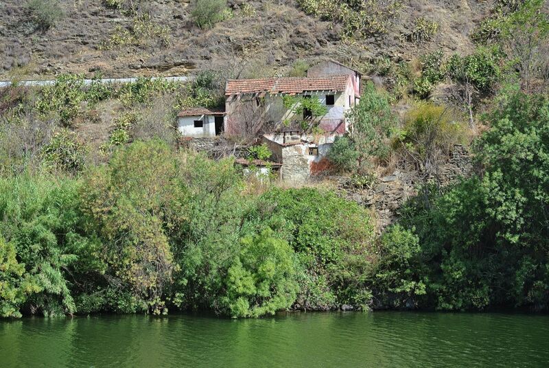 DC 22-0797-045.jpg :: Saga Douro River Cruise, Pocinho to Pinhao, River Douro: MS Douro Spirit passing the area of Covas do Douro on the River Douro. Photo taken 02/09/2022