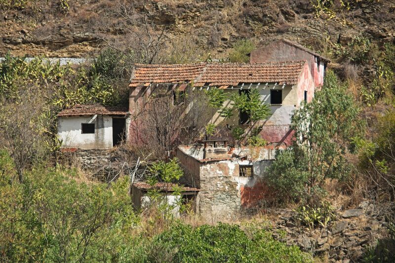 DC 22-0797-046.jpg :: Saga Douro River Cruise, Pocinho to Pinhao, River Douro: MS Douro Spirit passing the area of Covas do Douro on the River Douro. Photo taken 02/09/2022