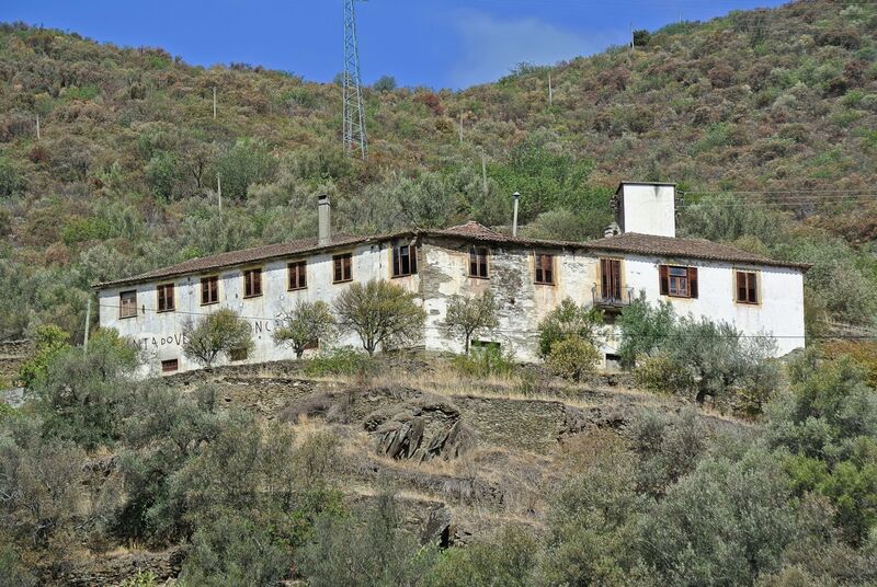 DC 22-0797-047.jpg :: Saga Douro River Cruise, Pocinho to Pinhao, River Douro: MS Douro Spirit passing the area of Covas do Douro on the River Douro. Photo taken 02/09/2022