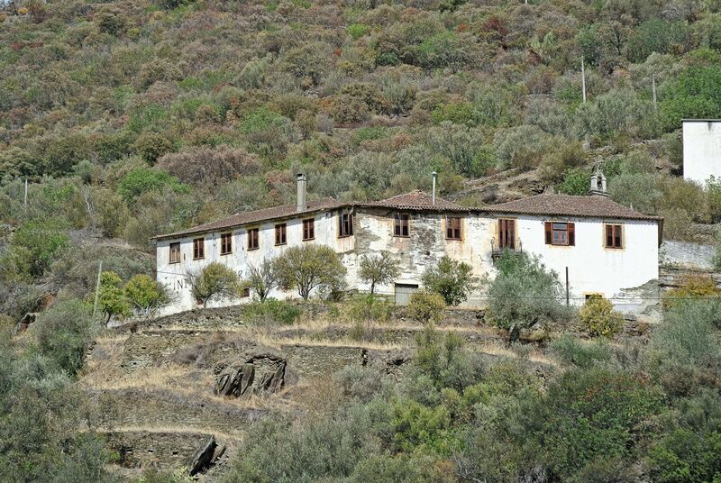 DC 22-0797-048.jpg :: Saga Douro River Cruise, Pocinho to Pinhao, River Douro: MS Douro Spirit passing the area of Covas do Douro on the River Douro. Photo taken 02/09/2022
