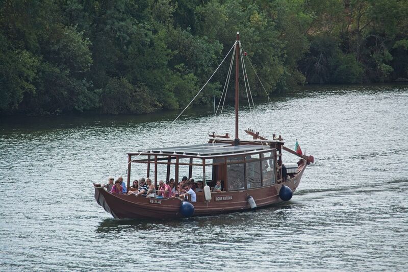 DC 22-0797-055.jpg :: Saga Douro River Cruise, Pocinho to Pinhao, River Douro: MS Douro Spirit passing the area of Ervedosa do Douro on the River Douro. The \