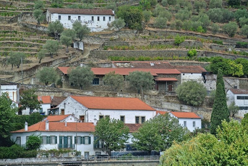 DC 22-0797-076.jpg :: Saga Douro River Cruise, Pocinho to Pinhao, River Douro: The village pictured in the image is Pinhão, a picturesque town nestled in the heart of Portugal's renowned Douro Valley wine region. The image shows the town from across the Douro River, featuring its distinctive iron bridge and the surrounding terraced hills covered in vineyards. Pinhão is located in the Norte Region of Portugal, within the Douro Valley, which is a UNESCO World Heritage site known for its stunning landscapes and port wine production. Photo taken 02/09/2022