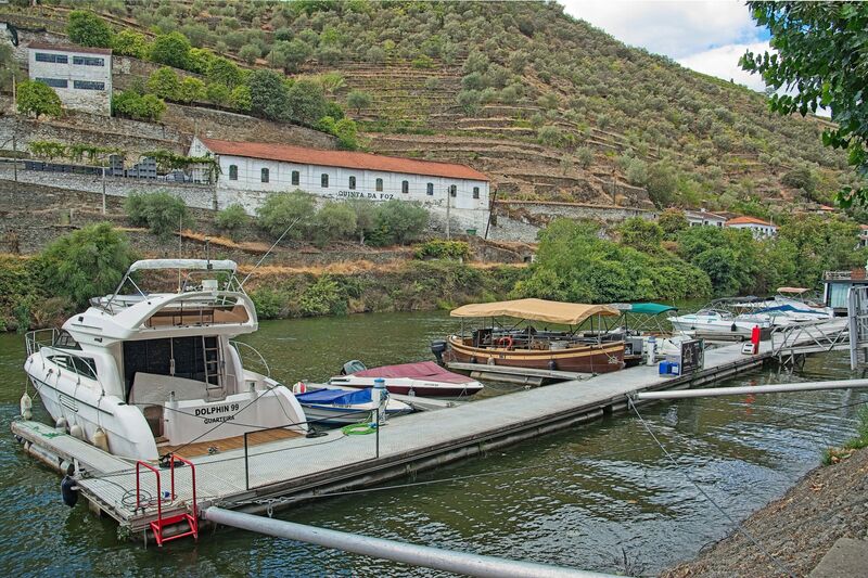 DC 22-0797-110.jpg :: Saga Douro River Cruise, Pocinho to Pinhao, River Douro: Boats berthed In the River Pinhao in the estuary with the Douro River. Photo taken 02/09/2022