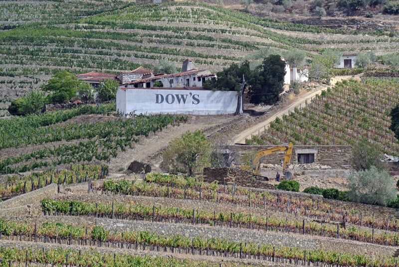 DC 22-0797-112.jpg :: Saga Douro River Cruise, Pocinho to Pinhao, River Douro: Ervedosa do Douro across the Douro River from Pinhao. Photo taken 02/09/2022