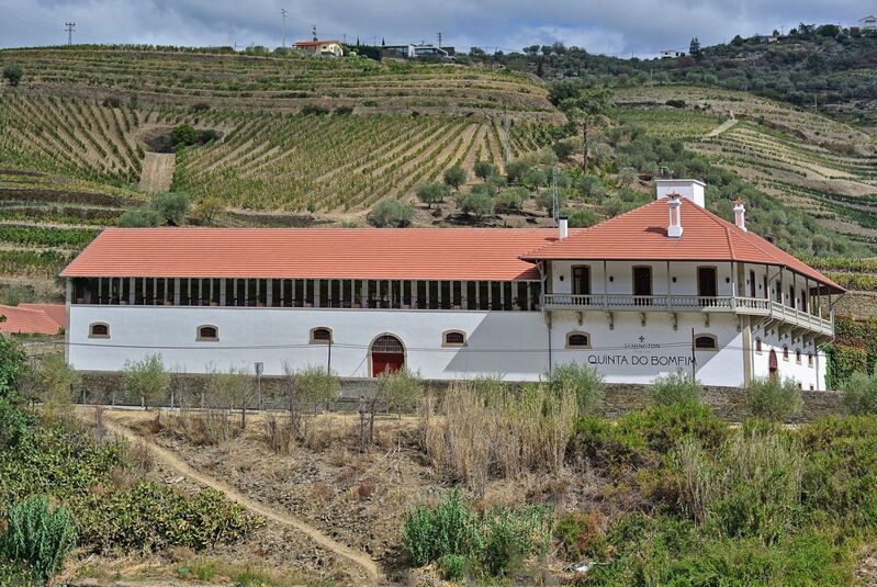 DC 22-0797-113.jpg :: Saga Douro River Cruise, Pocinho to Pinhao, River Douro: Quinta Do Bomfim, Family-owned vineyard with estate tours, a wine cellar & tasting on a terrace overlooking the Douro. Photo taken 02/09/2022