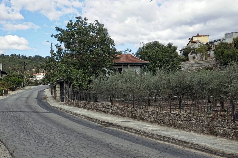 DC 22-0808-024.jpg :: Saga Douro River Cruise, Favaios:  Favaios in the Douro wine region in Portugal, well-known for its vineyards and wine production. Rural road leading to the Adega Cooperativa de Favaios, a renowned winery.  Photo taken 02/09/2022