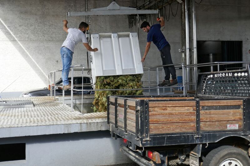 DC 22-0808-030.jpg :: Saga Douro River Cruise, Favaios:  The building in the image is the Adega Cooperativa de Favaios, a renowned winery located in the village of Favaios within the Douro wine region of Portugal. The winery is famous for producing one of Portugal's most iconic fortified wines, Moscatel de Favaios. The winery is nestled in the picturesque Alto Douro wine region of Portugal, a UNESCO World Heritage site. Founded in 1952, the cooperative was established by local producers to create their famous Moscatel wine. While most famous for its Moscatel, the winery also produces DOC Douro wines (white, red, and rosé), sparkling wines, and Port wine. Unloading and weighing bays. Photo taken 02/09/2022